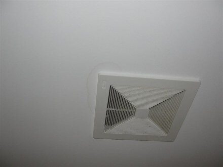 Ceiling Stain bath fan