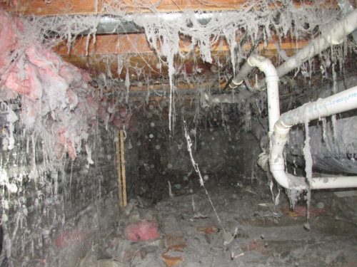 Creepy crawl space