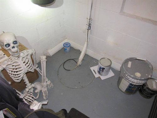 skeleton guarding the sump basket