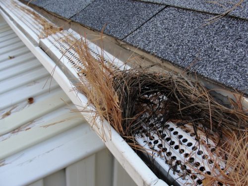 DIY Gutter insert