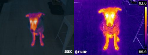 ShotPro-vs-E6 