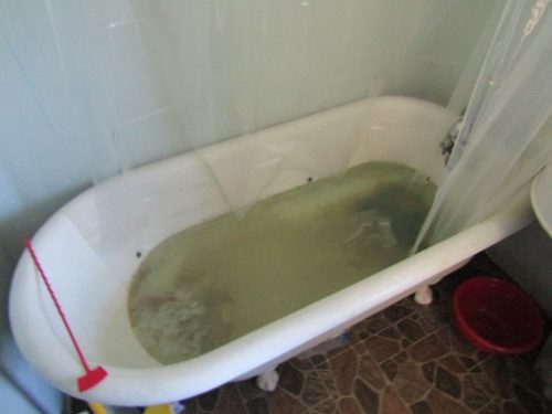 Green bathtub water