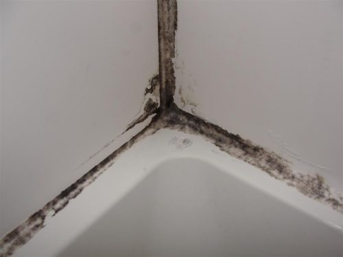 Moldy Shower Caulk Fixed, Replacing Moldy Bathtub Caulk