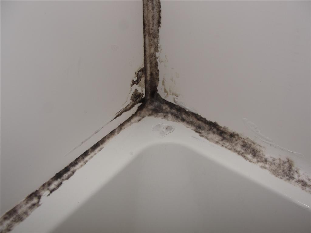 Moldy Shower Caulk Fixed Structure Tech Home Inspections - How To Remove Mold From Caulking In Bathroom