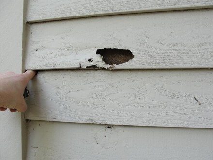 Finger poking rotted wood