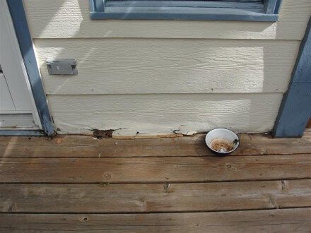 Rotted hardboard siding