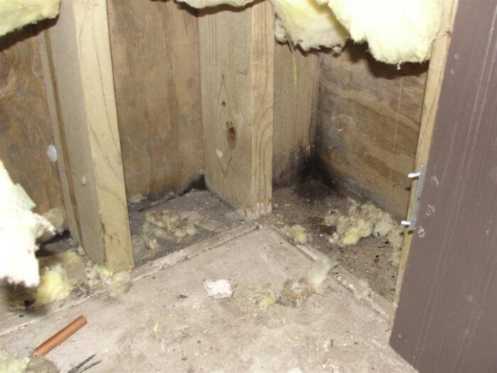 Minneapolis-home-inspection-radon-test-inspections.jpg