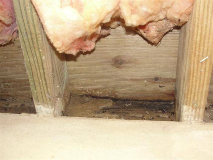 Minneapolis-home-inspection-radon-test-inspections.jpg