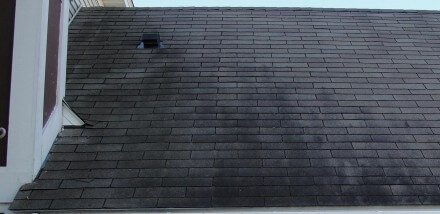 Black roof stains