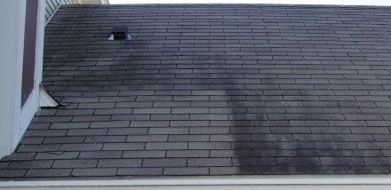 Black roof stains cleaned