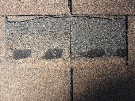 Wind damaged shingle