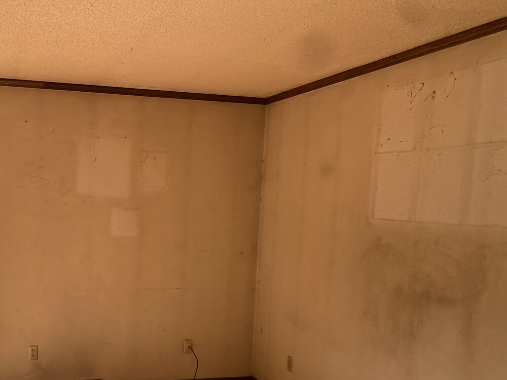 Ghosting on walls and ceiling.jpg
