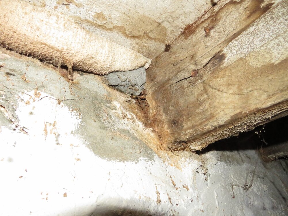 Rotted joist at beam fill.JPG