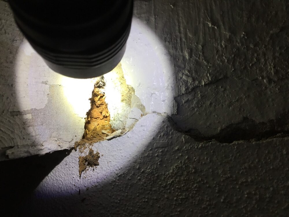 Rotted joist at beam fill 2.JPG