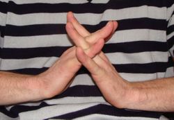 Interlocked Fingers2