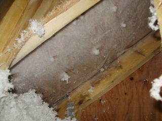 Frost in Attic