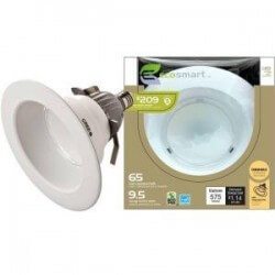 EcoSmart LED Floodlight