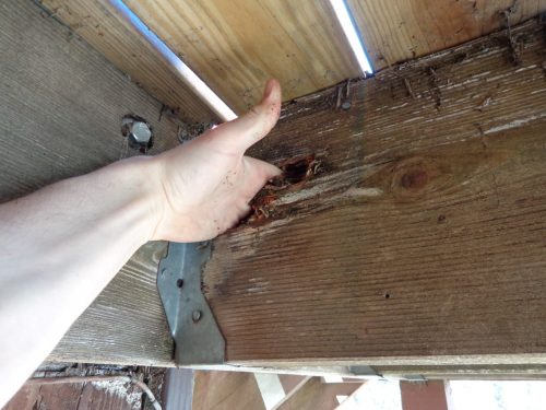Rotted Deck Joist