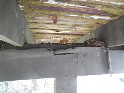 Rotted deck beam
