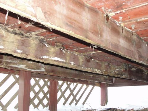 Rotted deck joists 2