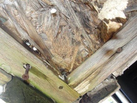 Severely rotted wood