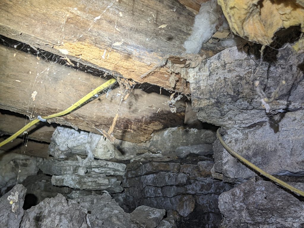 Rotted floor joists