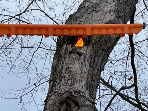 Tree on fire 2