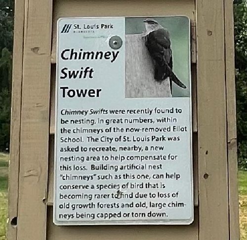 Chimney swift note