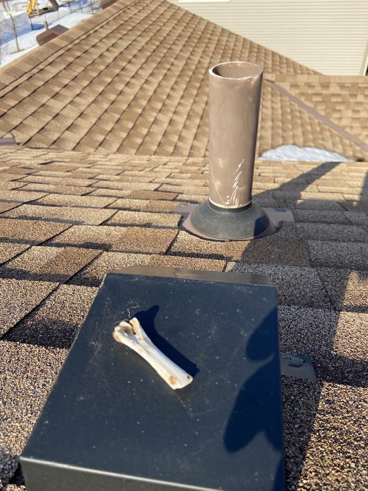 Roof bone on vent