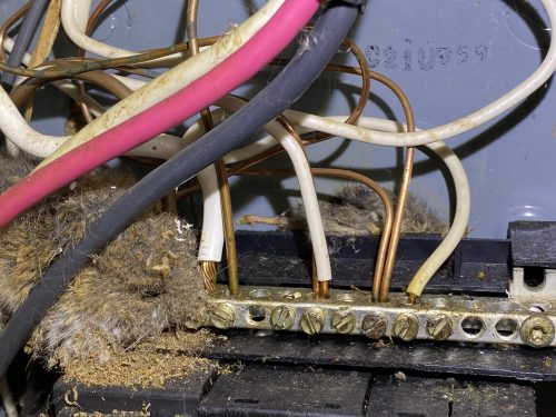 Dead mice in subpanel