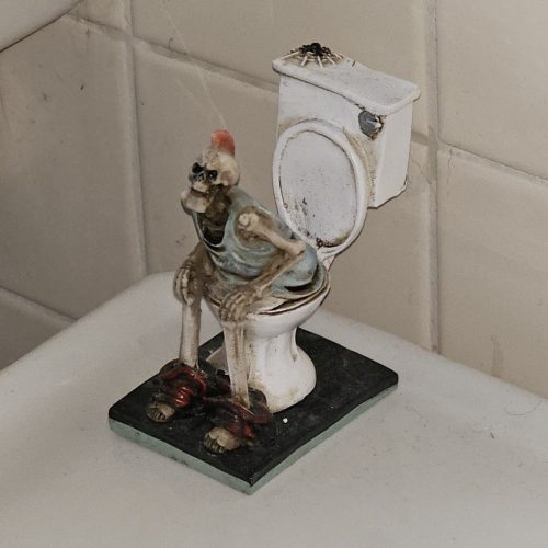 Skeleton toilet