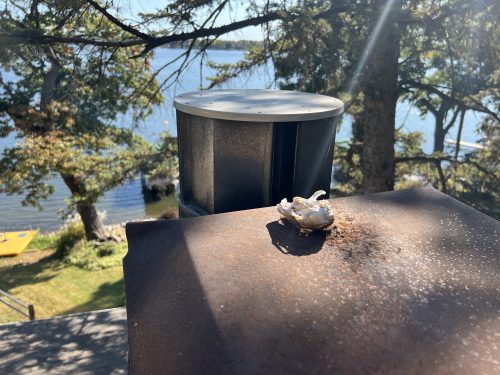 Skull on roof 2