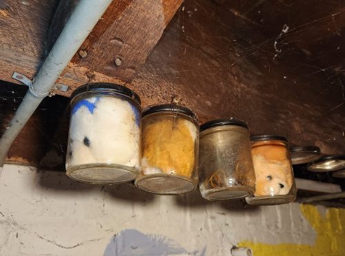 Teddy bear heads in jars