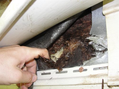 Rotted Wall Sheathing
