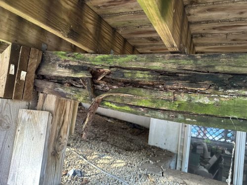 Rotted deck beam
