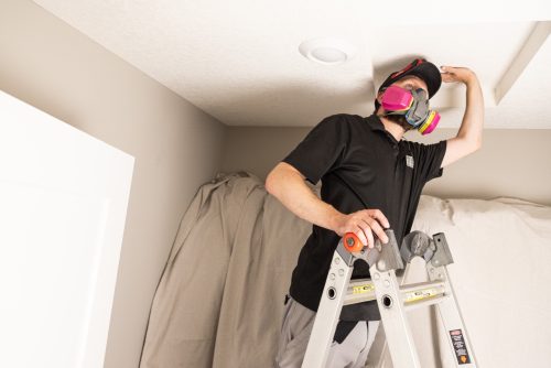 Home Inspection Attic