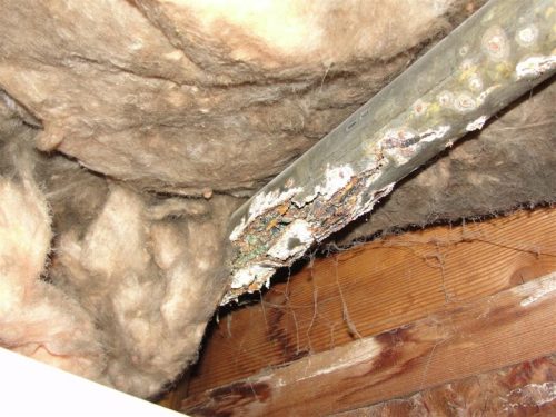 Steel drain rusted through
